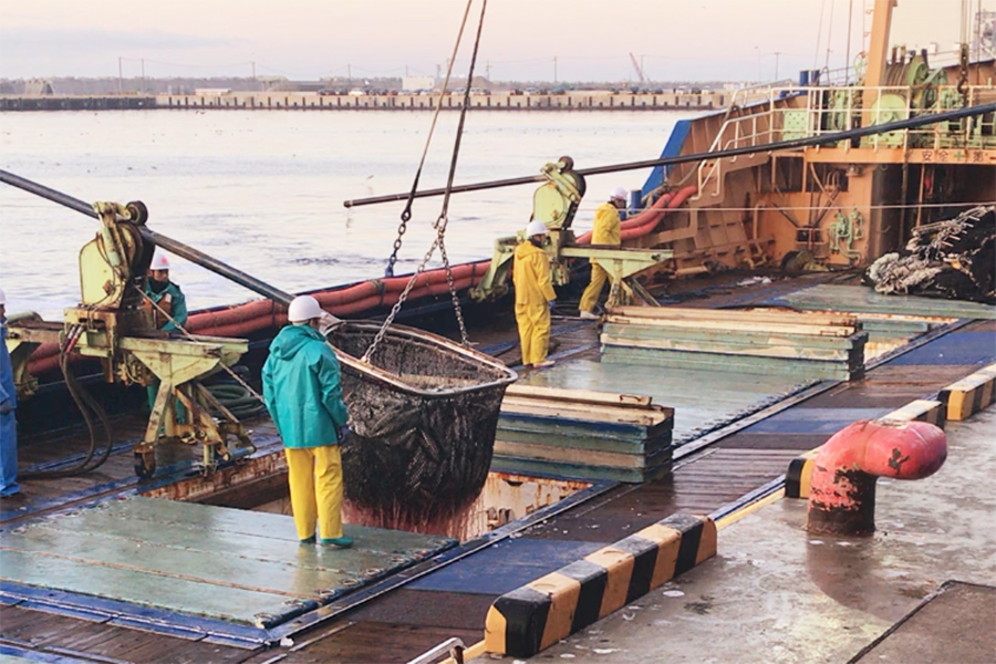 さばの水揚げをしている場面に立ち会っている写真